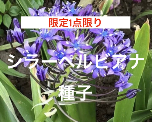 4b9cc53a84a651051db806f220f438