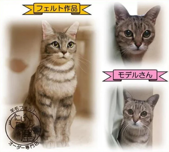 リアル羊毛フェルト「うちの子」オーダー 猫 犬 そっくり ﾍﾟｯﾄ ｽｺﾃｨｯｼｭ ﾉﾙｳｪｰｼﾞｬﾝ ｱﾋﾞｼﾆｱﾝ 15枚目の画像