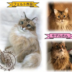 リアル羊毛フェルト「うちの子」オーダー 猫 犬 そっくり ﾍﾟｯﾄ ｽｺﾃｨｯｼｭ ﾉﾙｳｪｰｼﾞｬﾝ ｱﾋﾞｼﾆｱﾝ 7枚目の画像