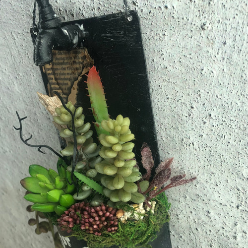 Creema限定/ジャンクガーデン/男前/流木付き多肉植物インテリア/公触媒 