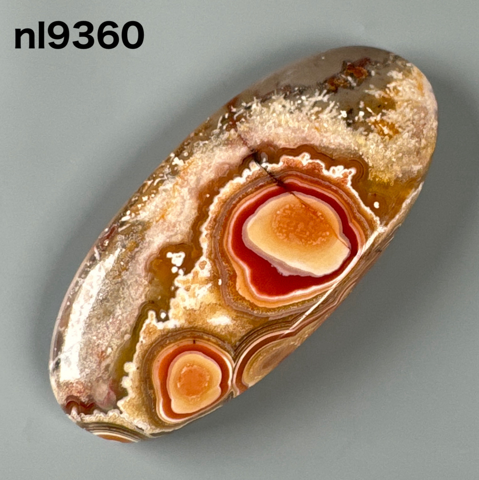 【blue.ks】No.3 アメジスト&クレイジーレースアゲート共生トップ アメジスト＆クレイジーレースアゲート共生 43-46x12-15mm 天珠