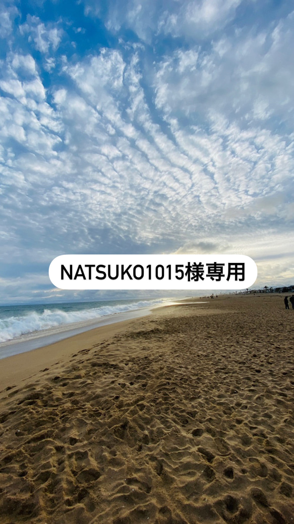 natsuko1015様専用ページ 1枚目の画像