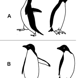ペンギンBIGマグ★ミント（単品） 7枚目の画像