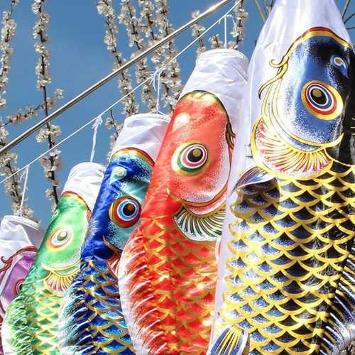 こいのぼり 健児鯉5メートル 6点セット(鯉3匹・吹き流し こいのぼり 健児鯉5メートル 6点セット(鯉3匹・吹き流し