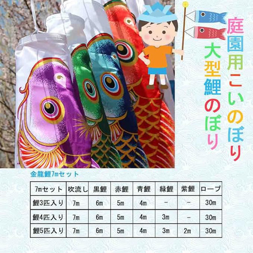 鯉のぼり こいのぼり 鯉3,4,5匹 吹流し7m 大型 【特選】お庭 最 鯉のぼり こいのぼり 鯉3,4,5匹 吹流し7m 大型 【特選】お庭 最