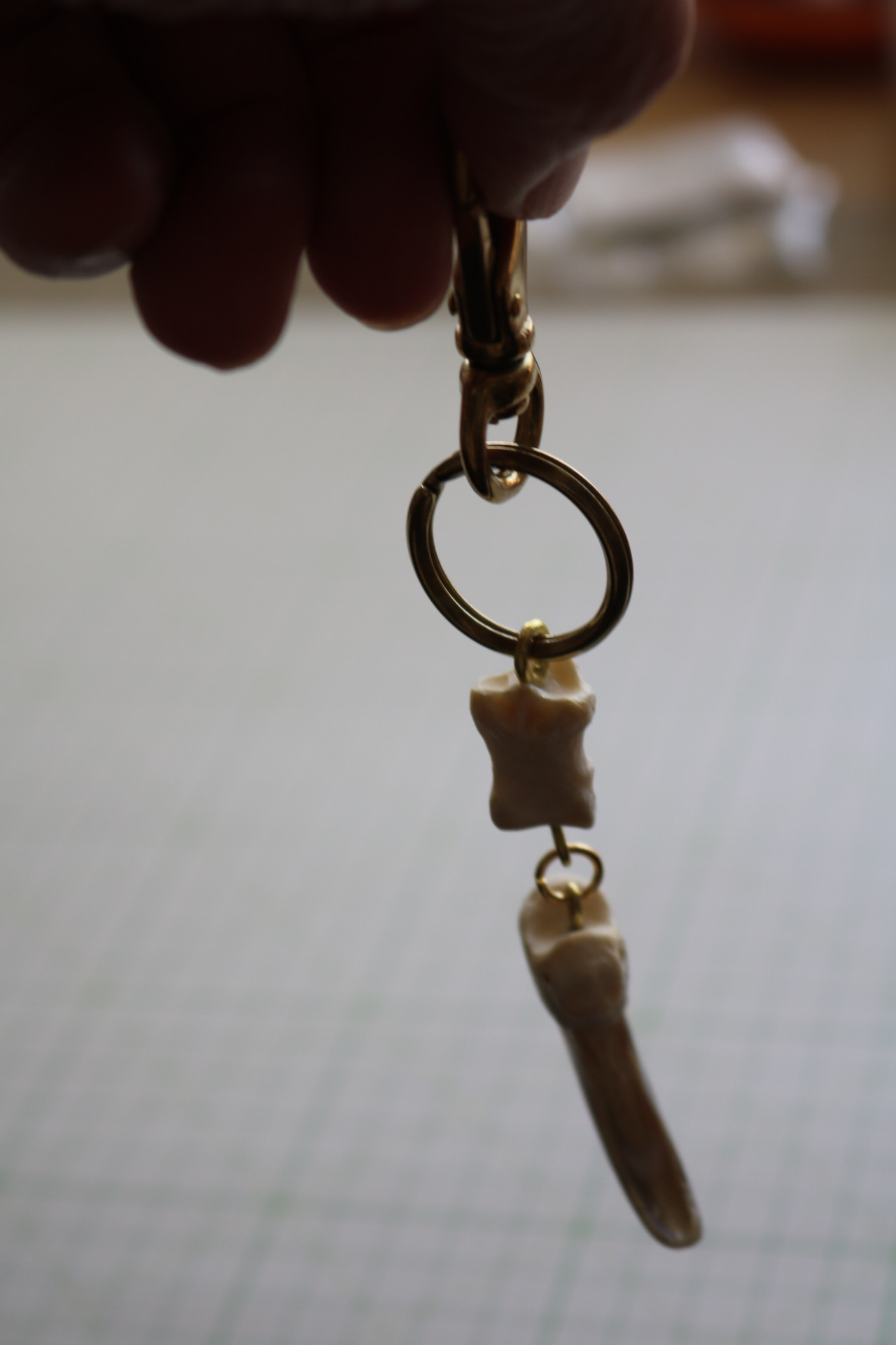 指骨中節骨付き熊骨付き爪・組み立て完成済みチャーム＆アクセサリー② 10,010円