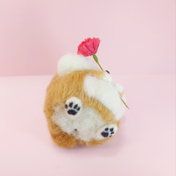 【予約販売】【早割】4/21まで　カーネーション柴犬(赤柴・白柴・黒柴) 母の日　～Wool Farm～　羊毛フェルト 7枚目の画像