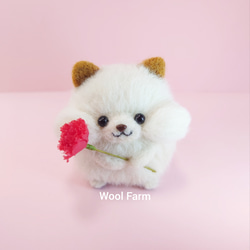 【予約販売】【早割】4/21まで　カーネーション柴犬(赤柴・白柴・黒柴) 母の日　～Wool Farm～　羊毛フェルト 8枚目の画像