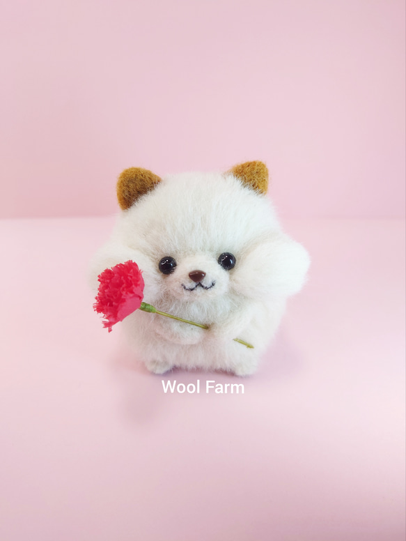 【予約販売】【早割】4/21まで　カーネーション柴犬(赤柴・白柴・黒柴) 母の日　～Wool Farm～　羊毛フェルト 8枚目の画像