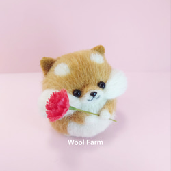 【予約販売】【早割】4/21まで　カーネーション柴犬(赤柴・白柴・黒柴) 母の日　～Wool Farm～　羊毛フェルト 3枚目の画像