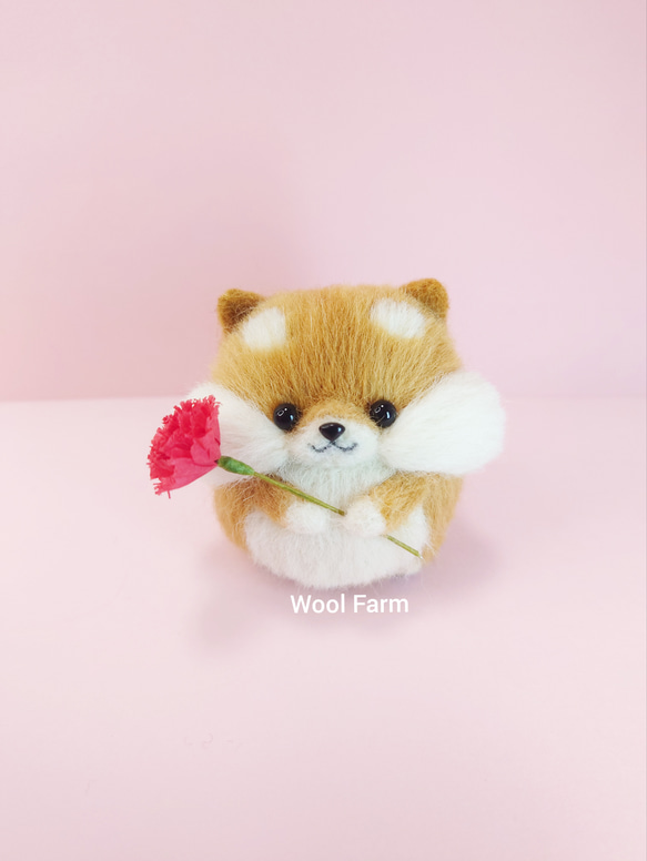 【予約販売】【早割】4/21まで　カーネーション柴犬(赤柴・白柴・黒柴) 母の日　～Wool Farm～　羊毛フェルト 2枚目の画像