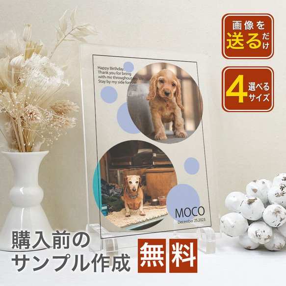 【 アクリルフォトパネル A62 】ペット 犬 dog わんちゃん いぬ 猫  ねこcat ねこちゃん ドッグインテリア 1枚目の画像