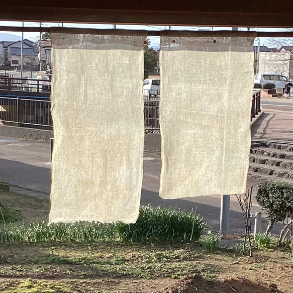 古布 蚊帳 生成り (張りがある) 2枚組 (6) 生地 ひだまり 通販 