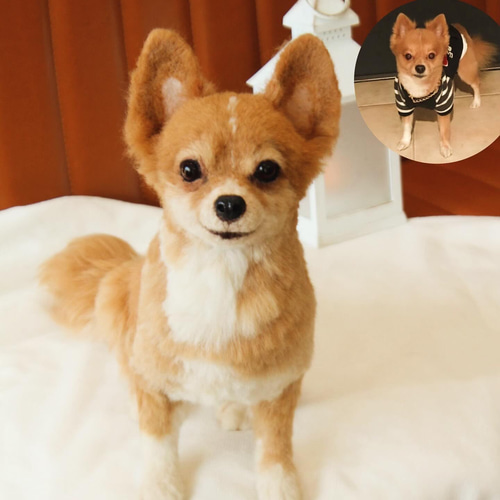 羊毛フェルトオーダー　チワワ　チワックス 愛犬さんのオーダー》羊毛フェルト オーダー 羊毛フェルト うち