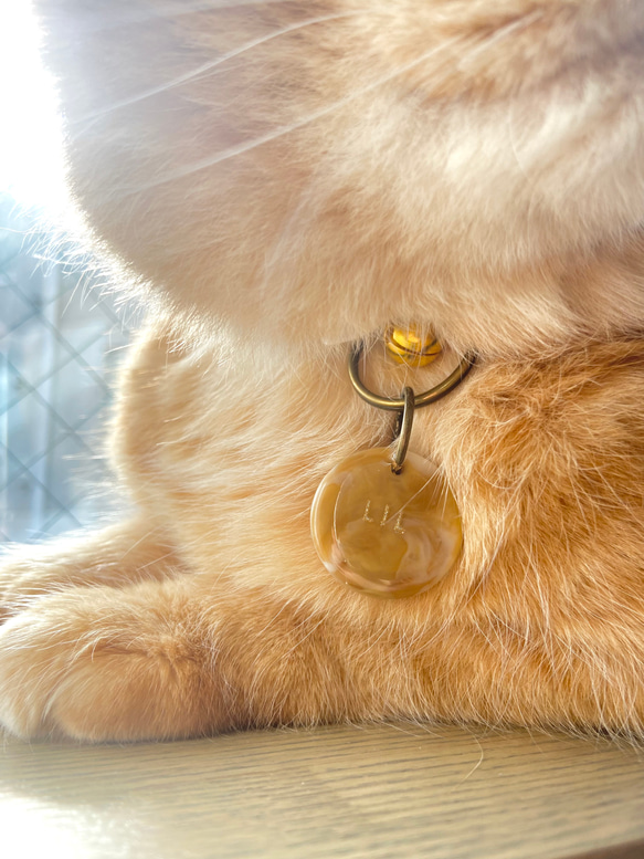 【うちの子オーダー】うちの猫柄キーホルダー　ペットの毛等の素材を封入 ペットメモリアル　文字入れ可　乳歯保存用としても◎ 11枚目の画像