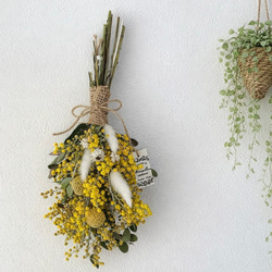 ふわふわミモザとラグラスのスワッグ 春 プレゼント ラッピング対応