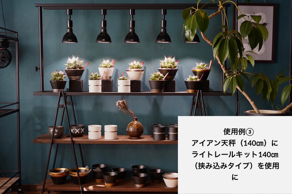 育成ライトが取付可、ライトレールスタンド　植物棚　アガベ　塊根　ボタニカルシェルフ 