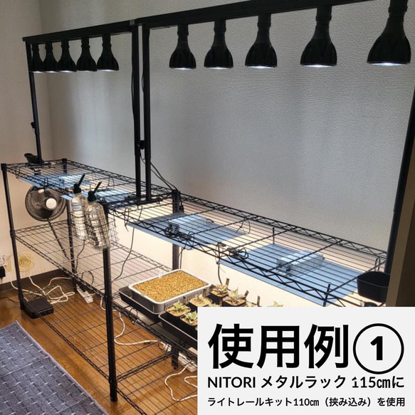 育成ライトが取付可、ライトレールスタンド　植物棚　アガベ　塊根　ボタニカルシェルフ 
