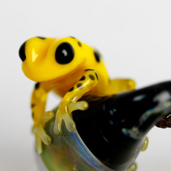 Frog（カエル）&キノコネックレス525 5枚目の画像