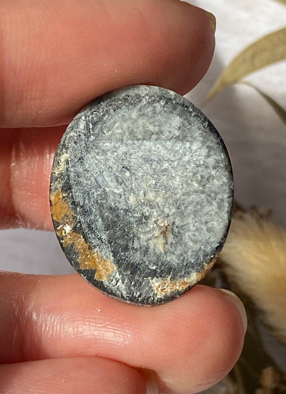 オルソセラスの化石：和名「直角貝」のスライス ルース 01 天然石 天然色 11枚目の画像