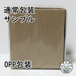 【受注制作】一緒にお出かけ！お座り上手な小さなふわふわペンギンさんぬいぐるみ【赤ぺんぎん】 12枚目の画像