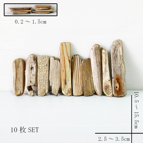 流木 板流木【30cm未満】itf157 1枚目の画像