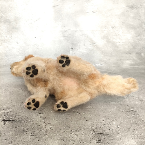 ゴールデンドゥードルさん【24022】 羊毛フェルト 羊毛わんこ 福