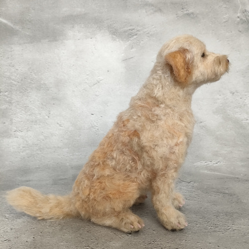 ゴールデンドゥードルさん【24022】 羊毛フェルト 羊毛わんこ 福や工房