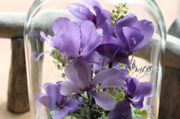 ❤ボトルフラワー・紫のシクラメン【セレナーディア】・ドライフラワー/誕生日・お見舞い・結婚祝い・記念日・母の日 4枚目の画像