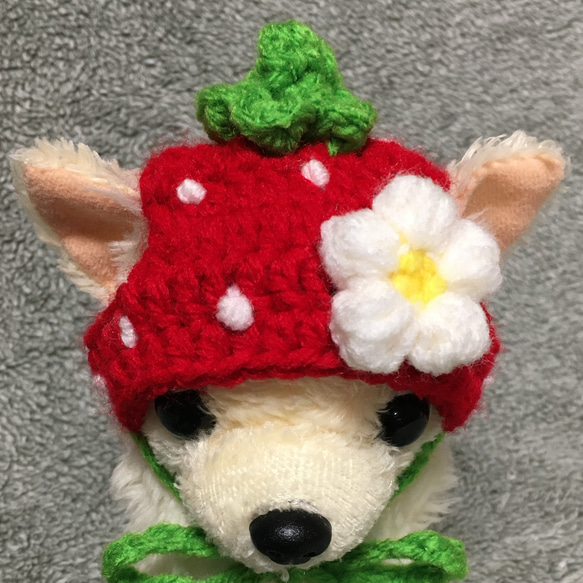 超小型犬用帽子・チワワ用❤️苺の帽子 2枚目の画像