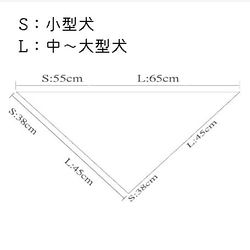  第14張的照片