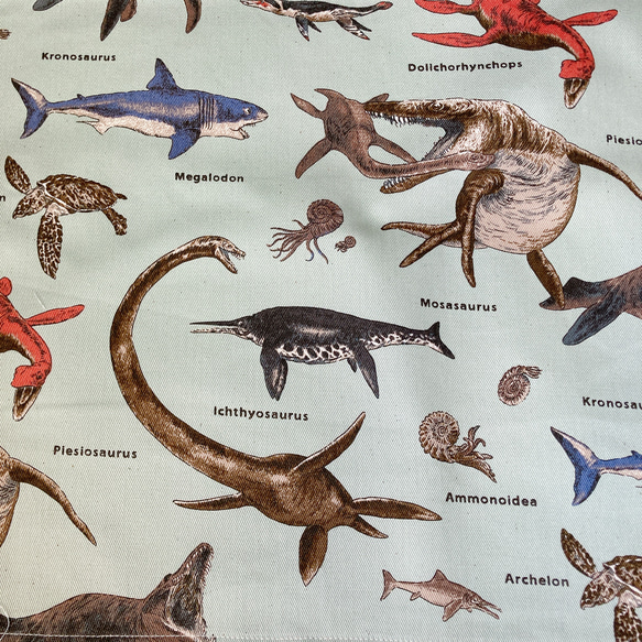 ランチョンマット ランチマット 男の子 女の子 恐竜 水の中の