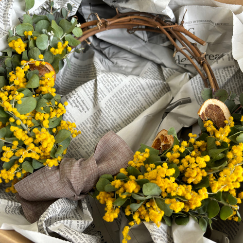 2024ss ミモザ ドライハーフリース(パールアカシア) ドライフラワー