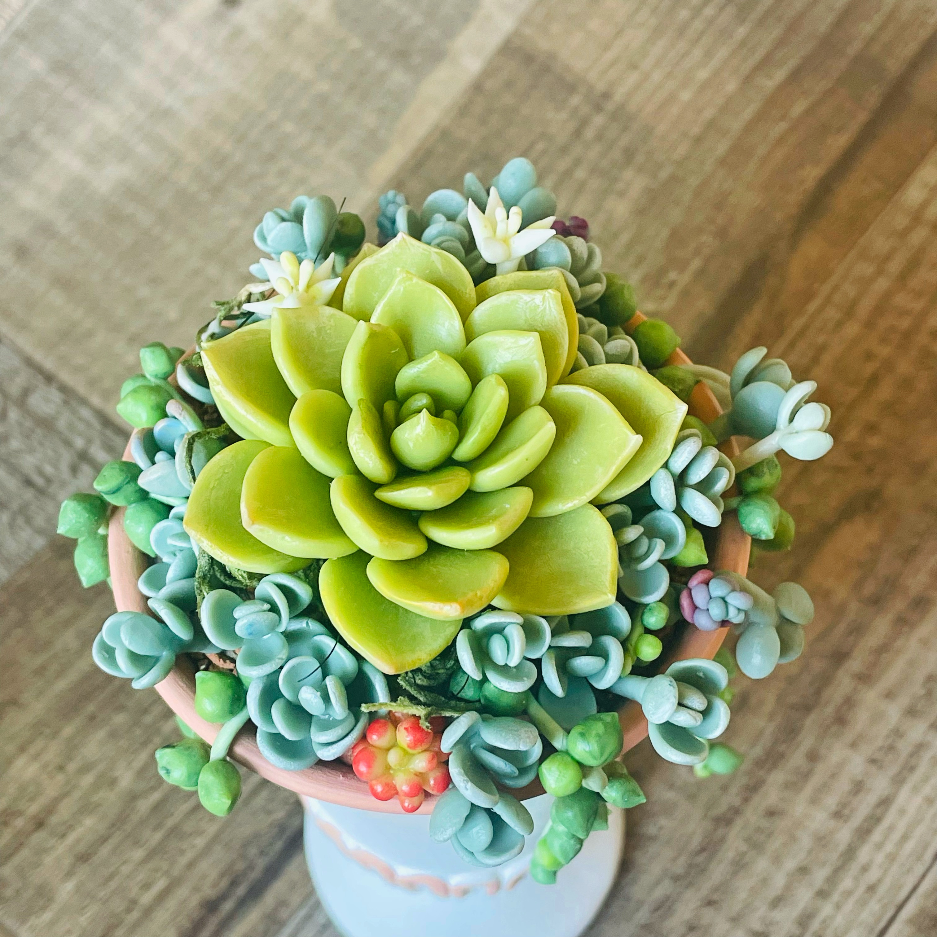 樹脂粘土 多肉 チャーム 樹脂粘土 多肉 チャーム