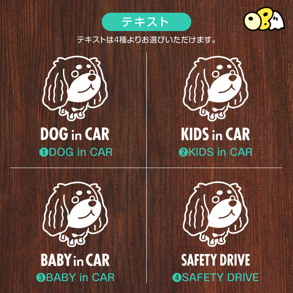 DOG IN CAR/キャバリアC カッティングステッカー KIDS IN CAR・BABY IN CAR・SAFETY 4枚目の画像