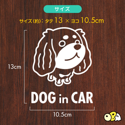DOG IN CAR/キャバリアC カッティングステッカー KIDS IN CAR・BABY IN CAR・SAFETY 3枚目の画像
