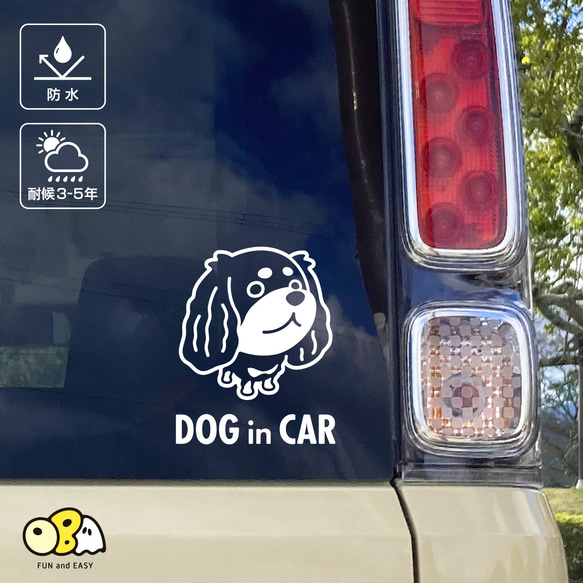 DOG IN CAR/キャバリアC カッティングステッカー KIDS IN CAR・BABY IN CAR・SAFETY 2枚目の画像