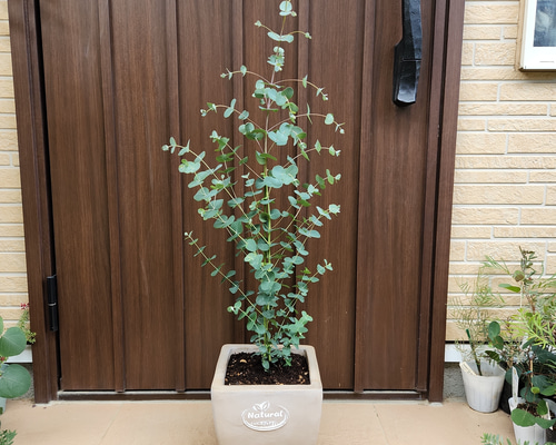 c69ea49c37dd0dd615cf34e7c998d0