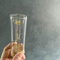 【受注制作】小さな真鍮のポピー　〜ガラスの小瓶に詰めてお届けいたします〜　　プレゼントにも　ワイヤーアート　 5枚目の画像