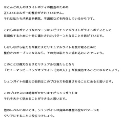 【電磁波対策】シュンガイトは効果なし？シュンガイトの電磁波効果｜テラヘルツ使用｜パワー 天然石 ストーン 指輪 リング 11枚目の画像