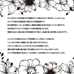 【電磁波対策】シュンガイトは効果なし？シュンガイトの電磁波効果｜テラヘルツ使用｜パワー 天然石 ストーン 指輪 リング 6枚目の画像