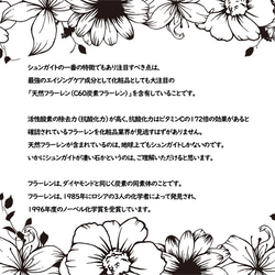 【電磁波対策】シュンガイトは効果なし？シュンガイトの電磁波効果｜テラヘルツ使用｜パワー 天然石 ストーン 指輪 リング 7枚目の画像
