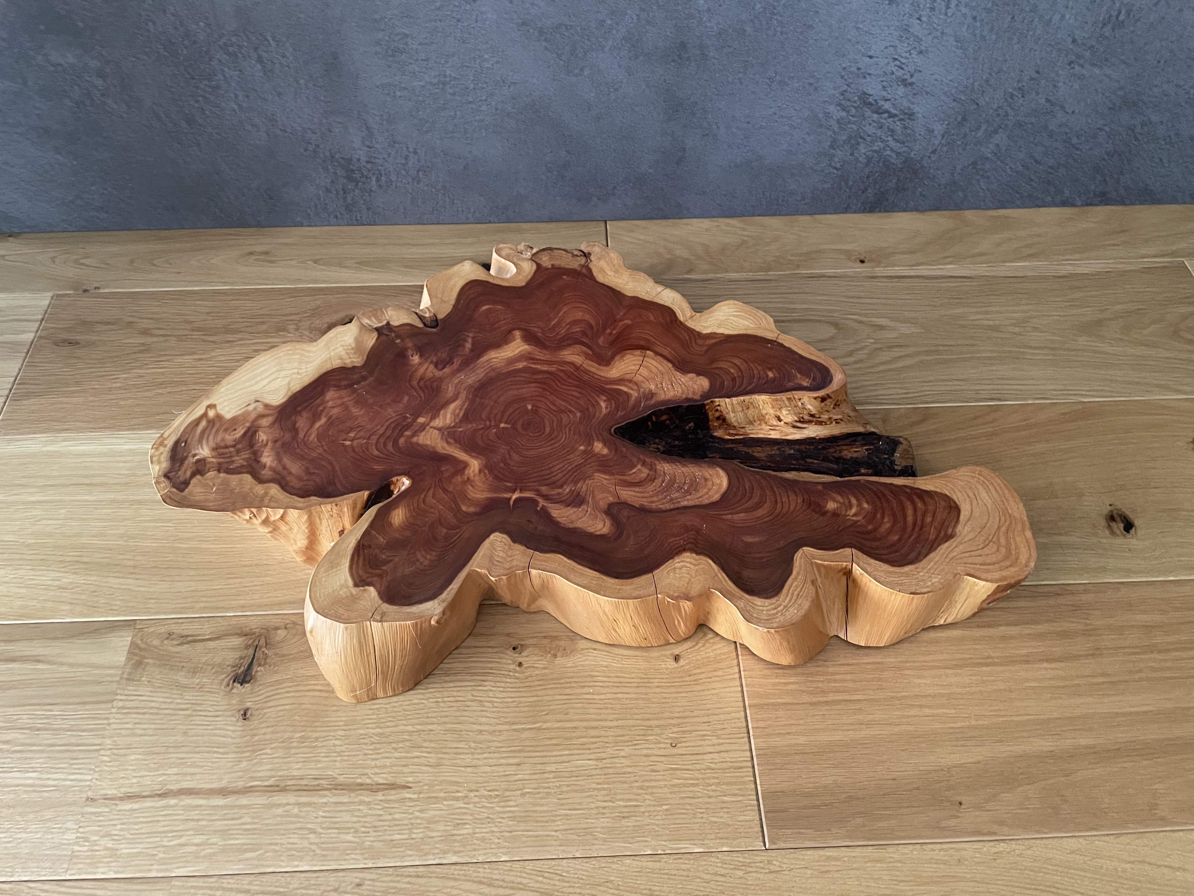 自然の造形美｜カイヅカイブキの花台・インテリア台｜一点物・天然素材