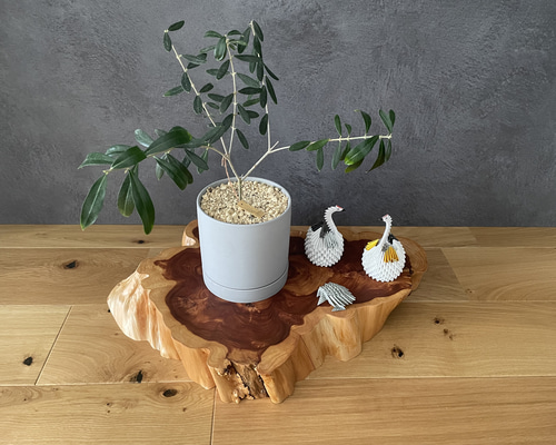 c95ce2cf9acdb8268f6fa83ba5df2f