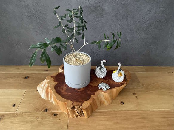 自然の造形美｜カイヅカイブキの花台・インテリア台｜一点物・天然素材