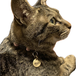 【裏面彫刻無料】真鍮　ペット用ネームチャーム（猫、小型犬） 8枚目の画像