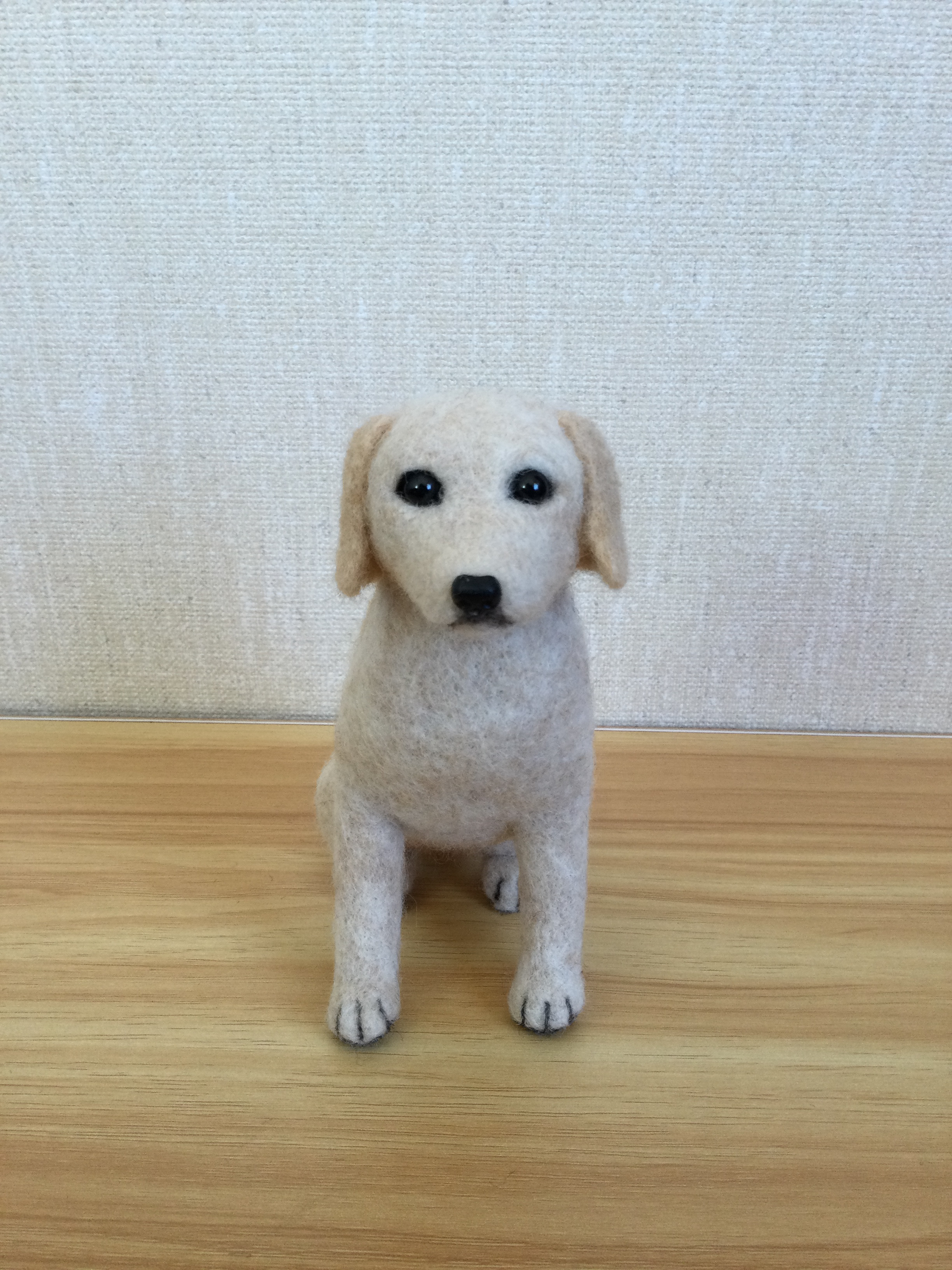 ラブラドールレトリバー イエロー＊羊毛フェルト | iichi 日々の