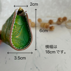  第6張的照片