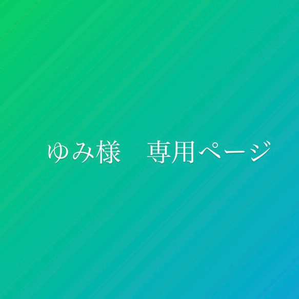 ゆみ様　専用ページ 1枚目の画像