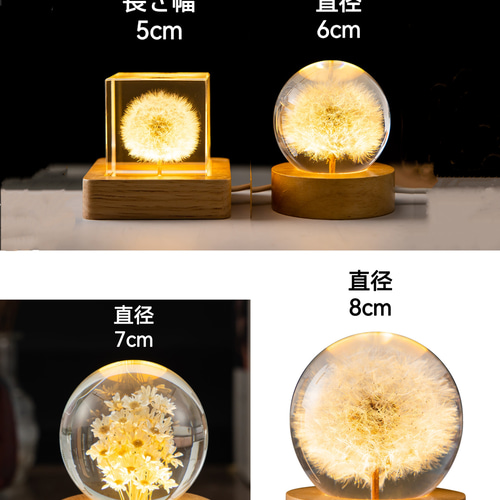 本物のたんぽぽ綿毛 レジンランプ 木製台座 卓上ライト LED 間接照明